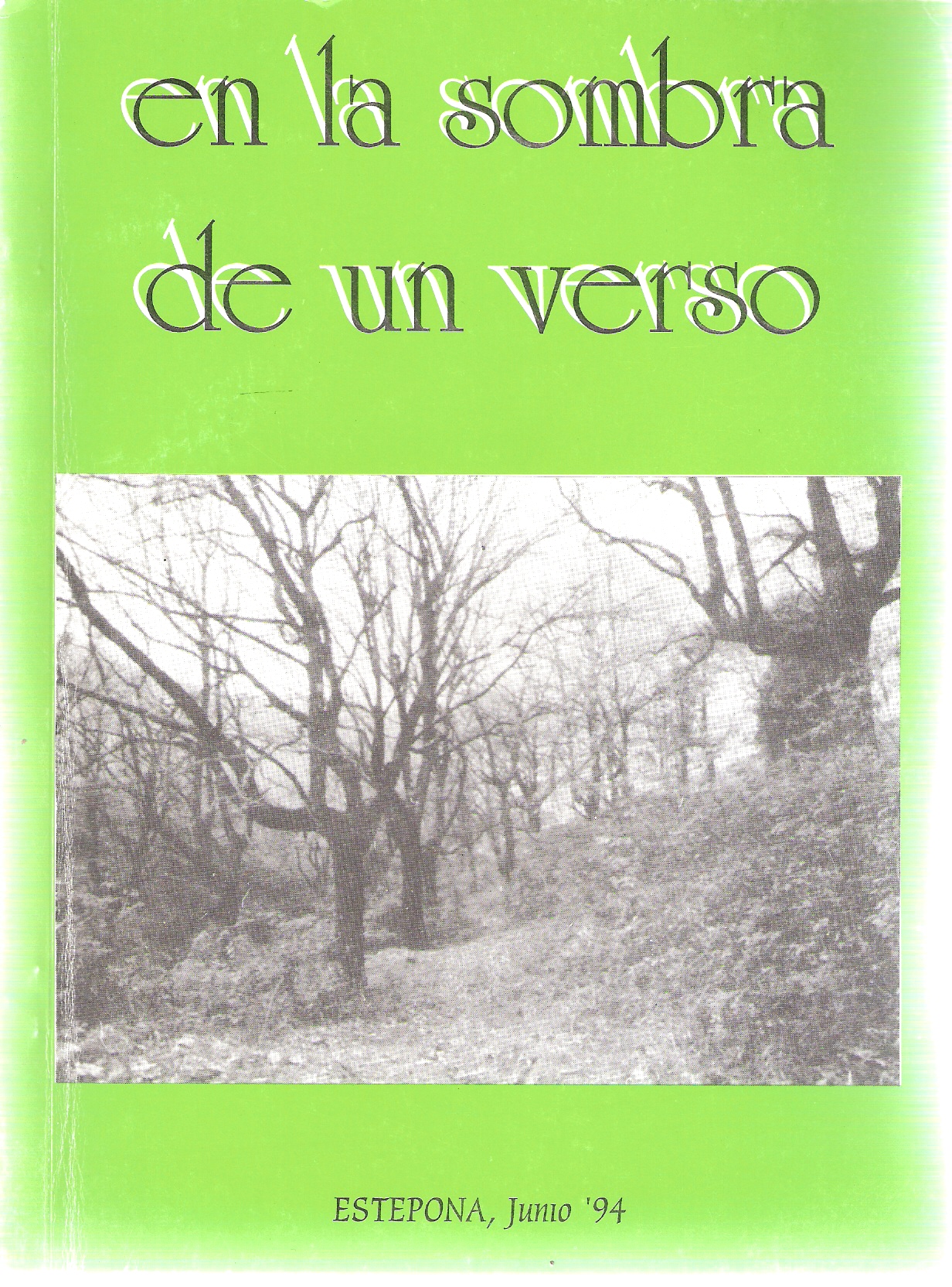 En la sombra de un verso En la sombra de un verso